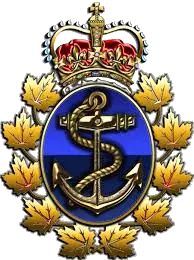 Insignia de la Flota