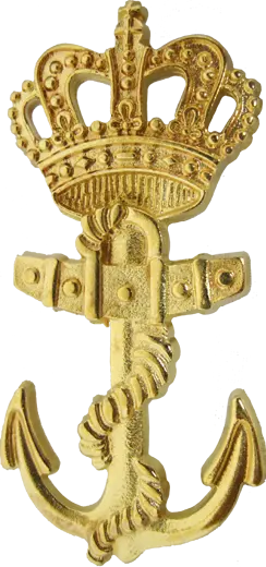 Insignia de la Flota